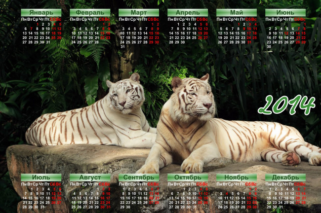 Обои картинки фото календари, животные, тигры
