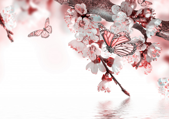 Обои картинки фото разное, компьютерный дизайн, вода, бабочка, весна, цветение, цветочки, веточки