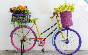 Картинка цветы разные+вместе flowers ретро букет флористика велосипед