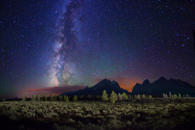 Обои картинки фото космос, звезды, созвездия, поле, горы, млечный, путь, деревья