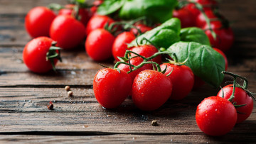 Картинка еда помидоры черри томаты базилик