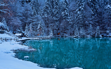 Картинка природа реки озера лед деревья зима озеро