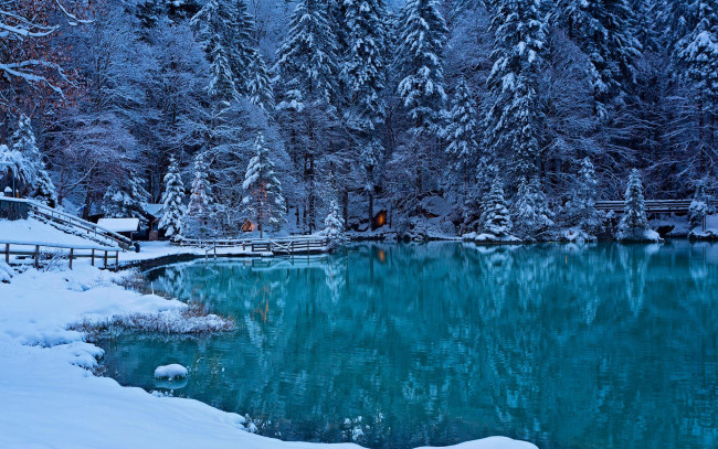Обои картинки фото природа, реки, озера, лед, деревья, зима, озеро