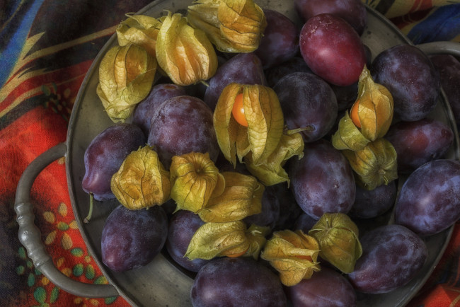 Обои картинки фото еда, персики,  сливы,  абрикосы, физалис, сливы, плоды