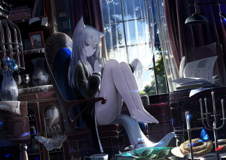 Картинка аниме животные +существа кресло окно чашка нэко девушка комната