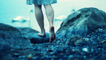 Картинка разное руки +ноги лебедь девушка ноги камни