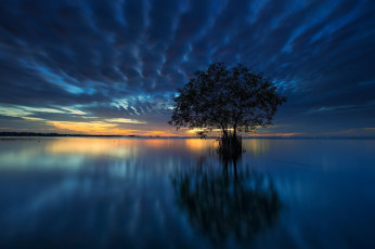 Картинка природа восходы закаты закат озеро дерево