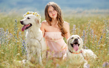 Картинка разное дети девочка собаки венок луг
