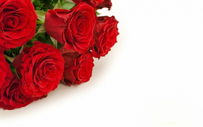 Обои картинки фото цветы, розы, букет, красные