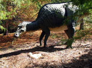 Картинка разное рельефы статуи музейные экспонаты деревья динозавр