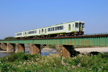 Картинка техника поезда мост трава поезд