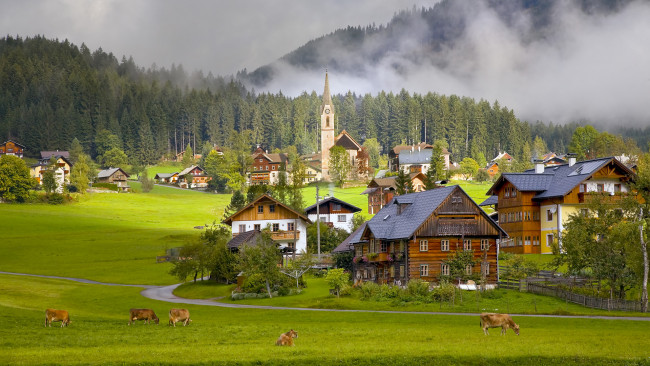 Обои картинки фото gosau, village, austria, города, пейзажи, дымка, трава, луг, austri, австрия, деревня, архитектура, здание, дерево, дом, церковь, природа, деревья, лес, туман, дорога, животные, корова, идиллия