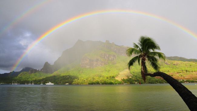 Обои картинки фото природа, радуга, горы, пальма, тропики
