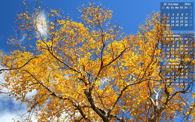 Обои картинки фото календари, природа, осень