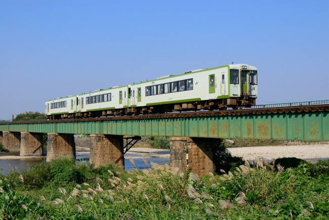 Обои картинки фото техника, поезда, мост, трава, поезд