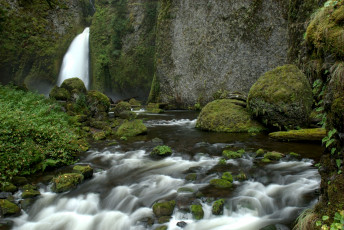 Картинка природа реки озера вода поток камни мох
