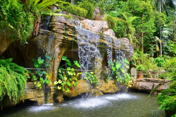 обоя garden, waterfall, природа, водопады, водопад, уступ, парк, заросли, скалы