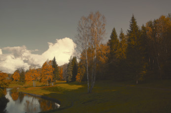 Картинка природа пейзажи осень павловск лес пруд