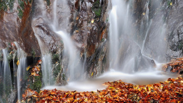обоя природа, водопады, река, скала, осень, листья