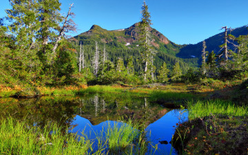 Картинка природа пейзажи отражение деревья горы