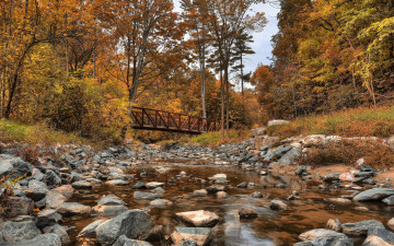 обоя природа, реки, озера, осень, лес, речка, канада, canada, деревья, мост, wilket, creek, park, пейзаж, камни