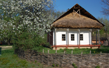 Картинка разное сооружения постройки украинская хата плетень яблоня цветы