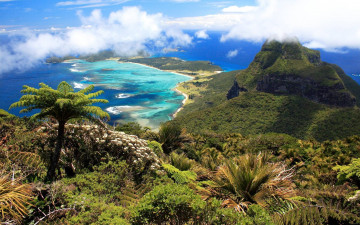 Картинка tropical природа тропики океан острова пальмы пляж