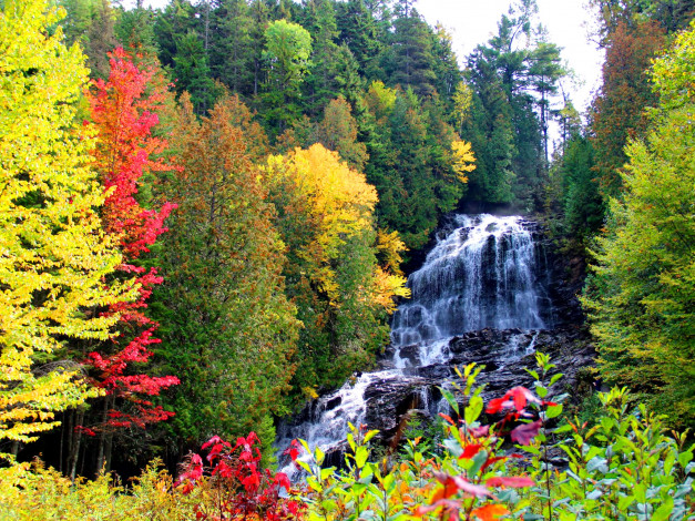 Обои картинки фото beaver, brook, falls, природа, водопады, водопад, осень, река, лес, краски
