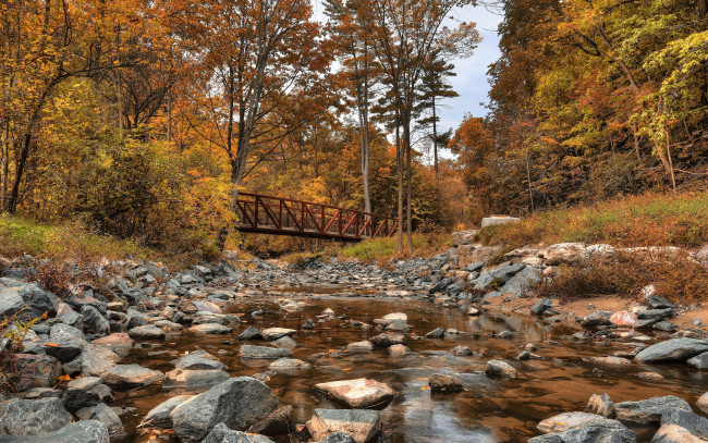 Обои картинки фото природа, реки, озера, осень, лес, речка, канада, canada, деревья, мост, wilket, creek, park, пейзаж, камни