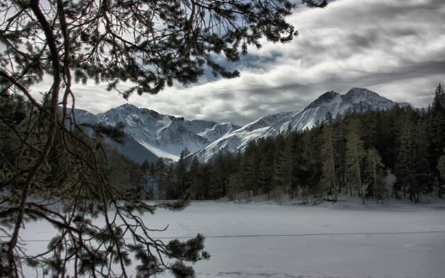 Обои картинки фото природа, зима, горы, снег, небо, деревья, елки, тучи