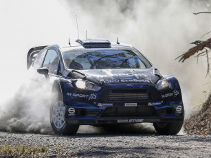 Картинка спорт авторалли rs fiesta ford гонка синий 2014г wrc