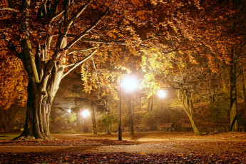 Картинка природа парк autumn park пейзаж fall season lights night осень вечер