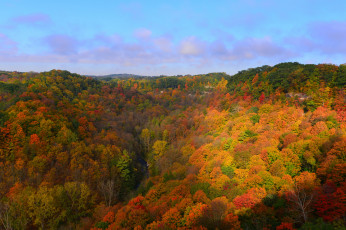 Картинка природа лес небо холмы деревья осень