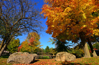 Картинка природа парк камни забор небо осень дерево
