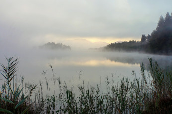 Картинка природа реки озера туман сентябрьское утро озеро grossen ostersee бавария германия