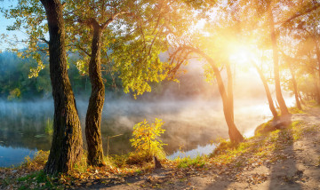 Картинка природа реки озера дымка осень река деревья лучи