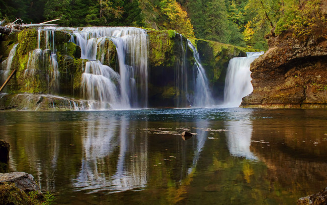 Обои картинки фото природа, водопады, лес, поток, камни