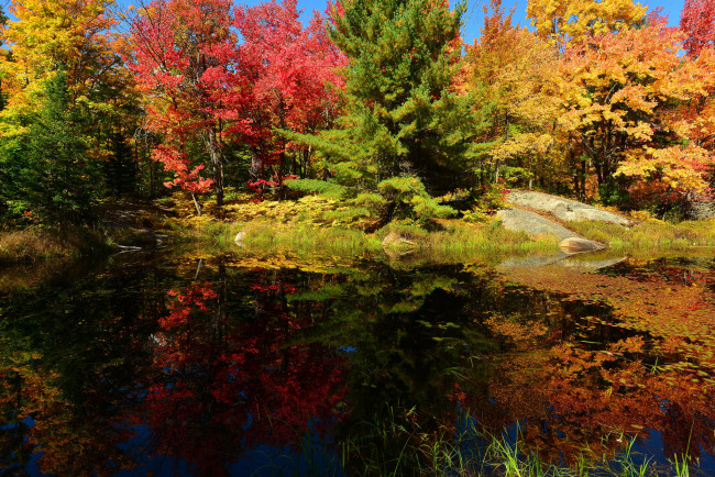 Обои картинки фото природа, реки, озера, деревья, осень, озеро, лес, небо