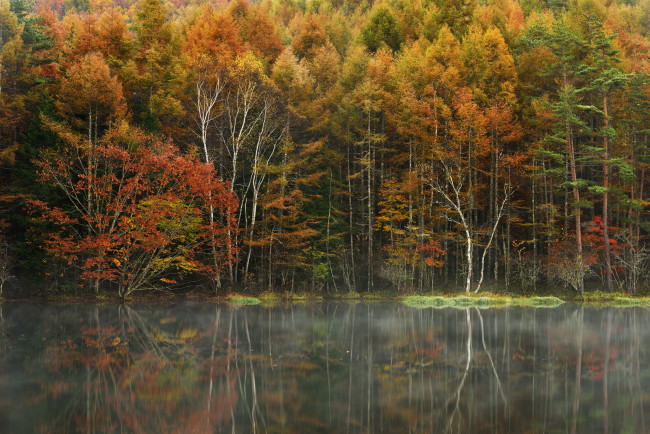 Обои картинки фото природа, реки, озера, лес, деревья, осень, озеро, туман, отражение