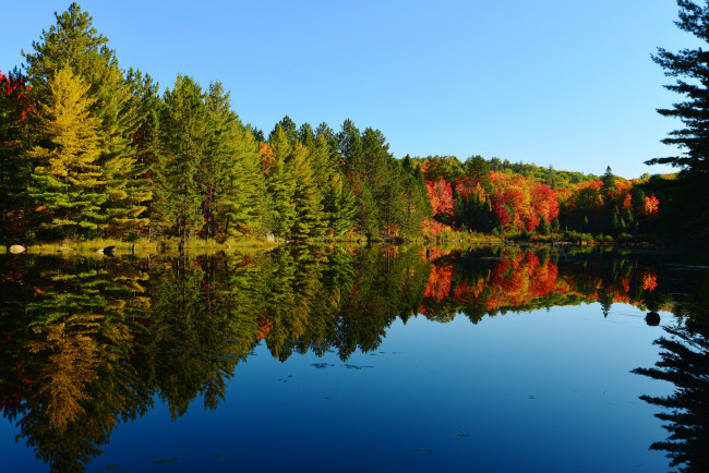 Обои картинки фото природа, реки, озера, лес, небо, осень, деревья, озеро