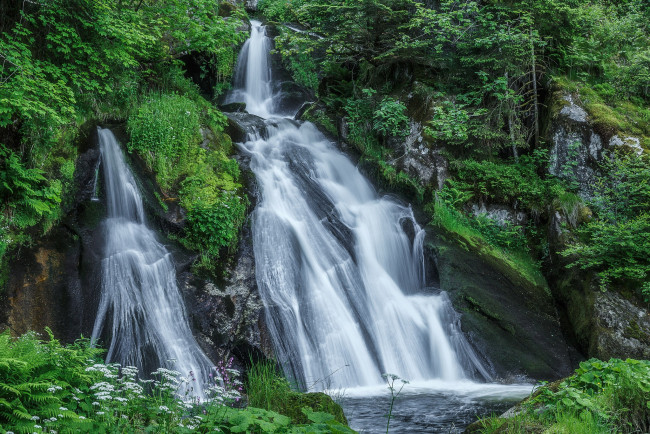 Обои картинки фото природа, водопады, водопад, лес, река