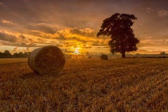 Картинка природа восходы закаты сено закат поле
