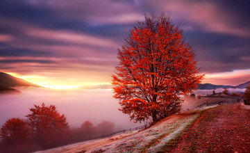 Картинка природа восходы закаты горы туман карпаты осень рассвет украина