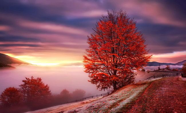Обои картинки фото природа, восходы, закаты, горы, туман, карпаты, осень, рассвет, украина
