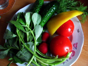 обоя еда, овощи, салат, перец, укроп, огурец, редис, помидор