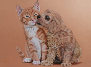 Картинка рисованное животные кошка собака