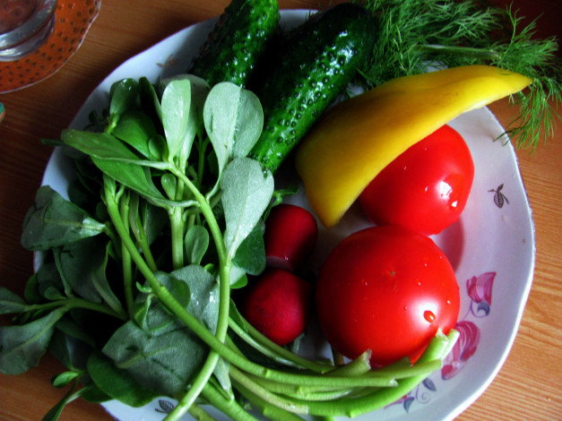 Обои картинки фото еда, овощи, салат, перец, укроп, огурец, редис, помидор