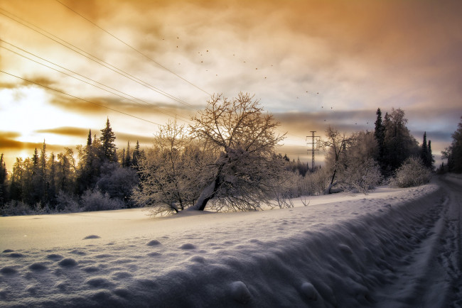 Обои картинки фото природа, зима, дорога, деревья, птицы, небо, снег