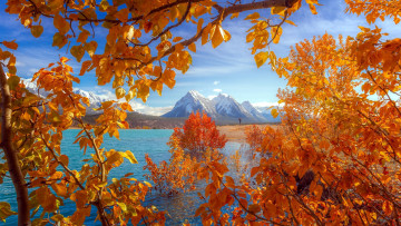 обоя abraham lake, canadian rockies, alberta, природа, реки, озера, abraham, lake, canadian, rockies