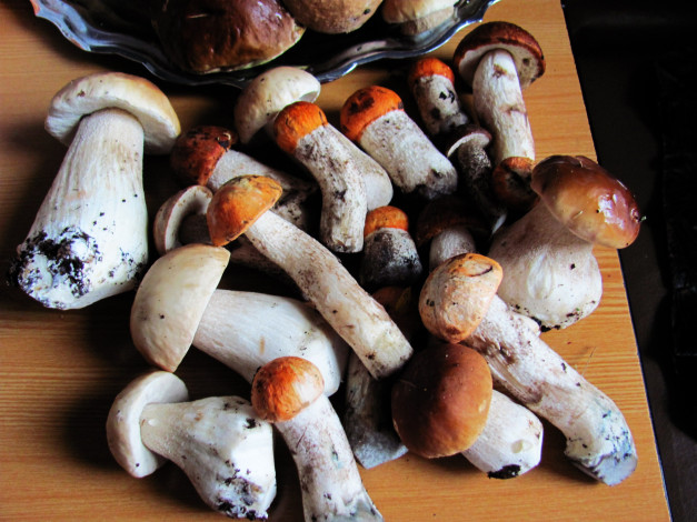 Обои картинки фото еда, грибы,  грибные блюда, боровики, подосиновики